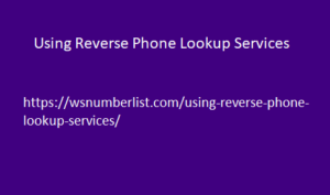 Using Reverse Phone Lookup Services